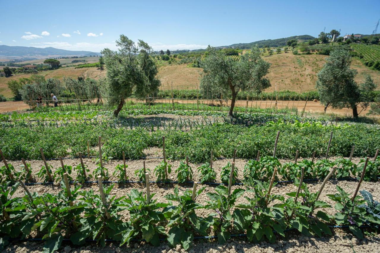 Agriturismo Cappellese Castelnuovo della Misericordia Ngoại thất bức ảnh