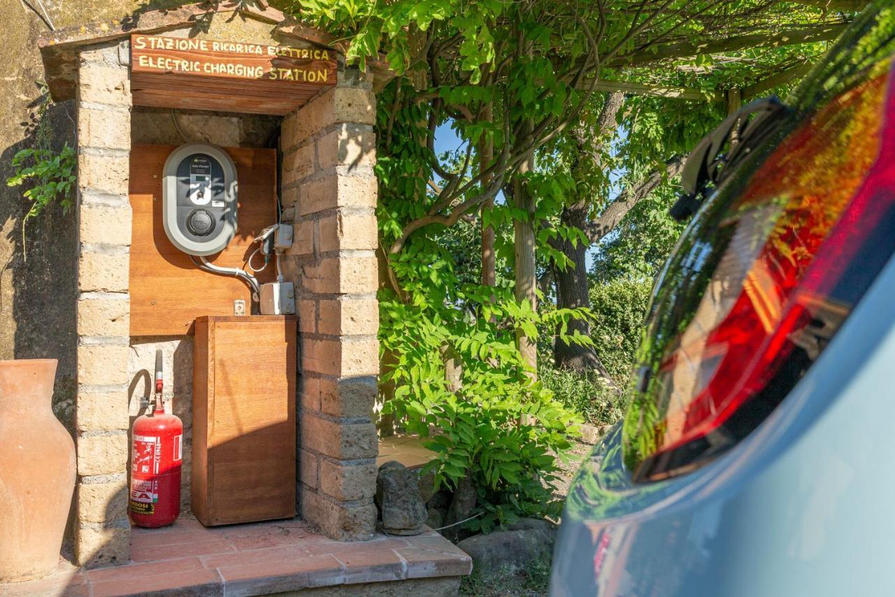 Agriturismo Cappellese Castelnuovo della Misericordia Ngoại thất bức ảnh