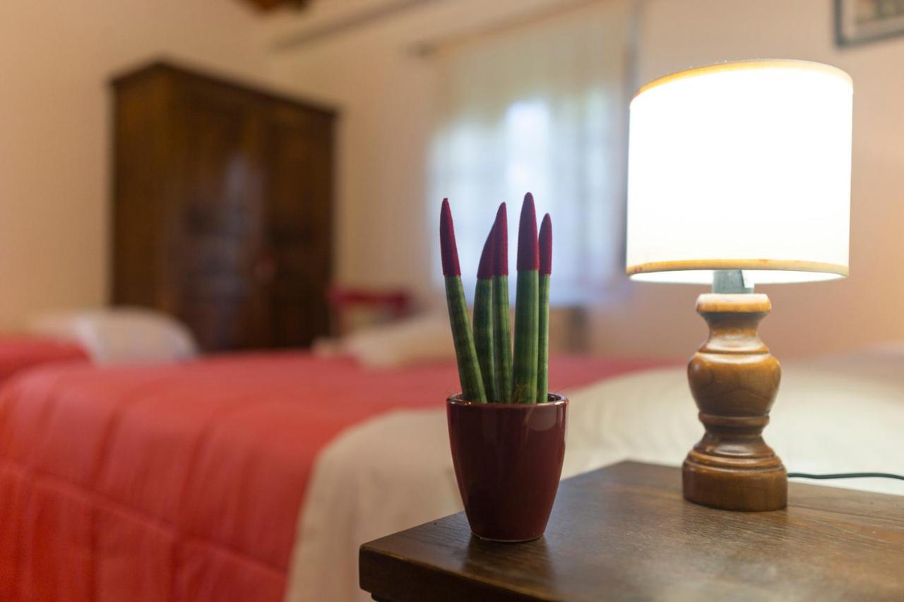 Agriturismo Cappellese Castelnuovo della Misericordia Ngoại thất bức ảnh