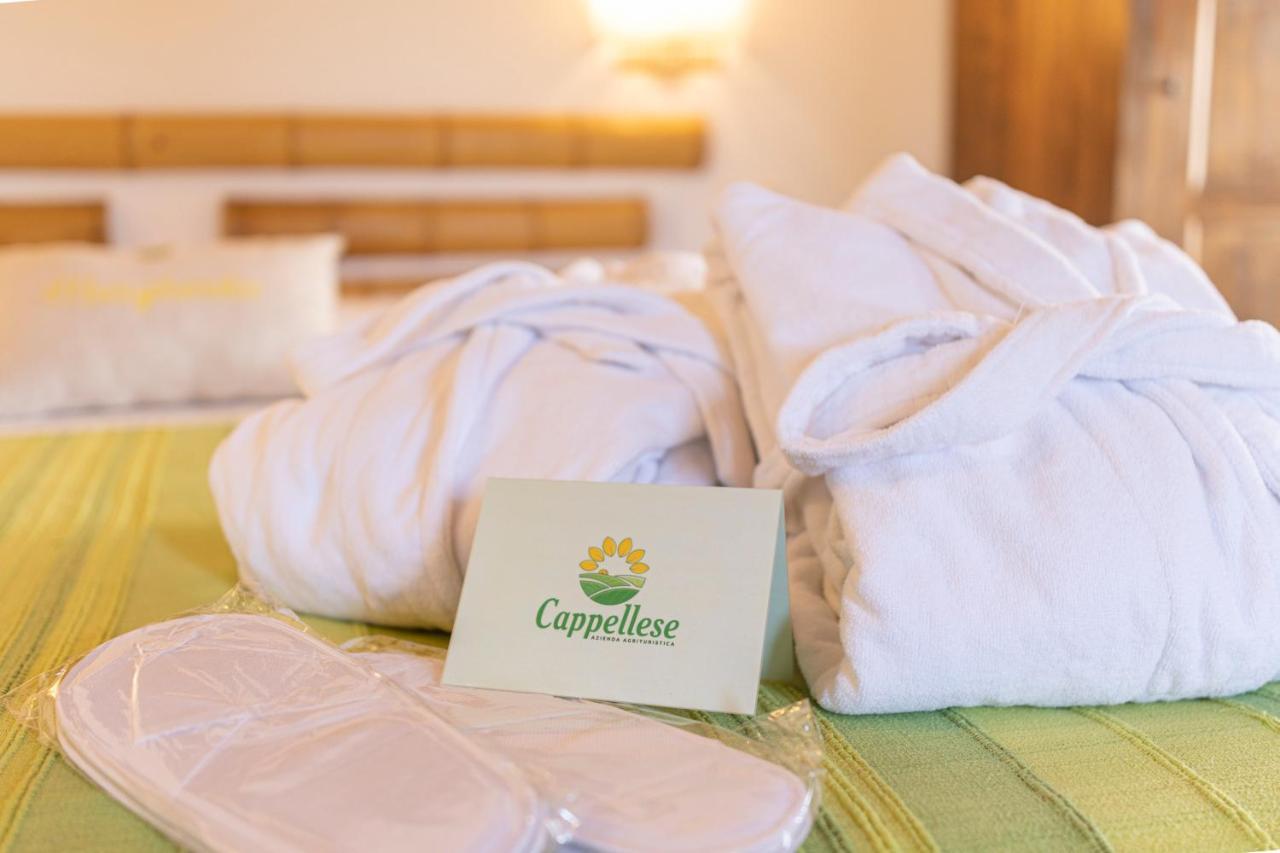 Agriturismo Cappellese Castelnuovo della Misericordia Ngoại thất bức ảnh