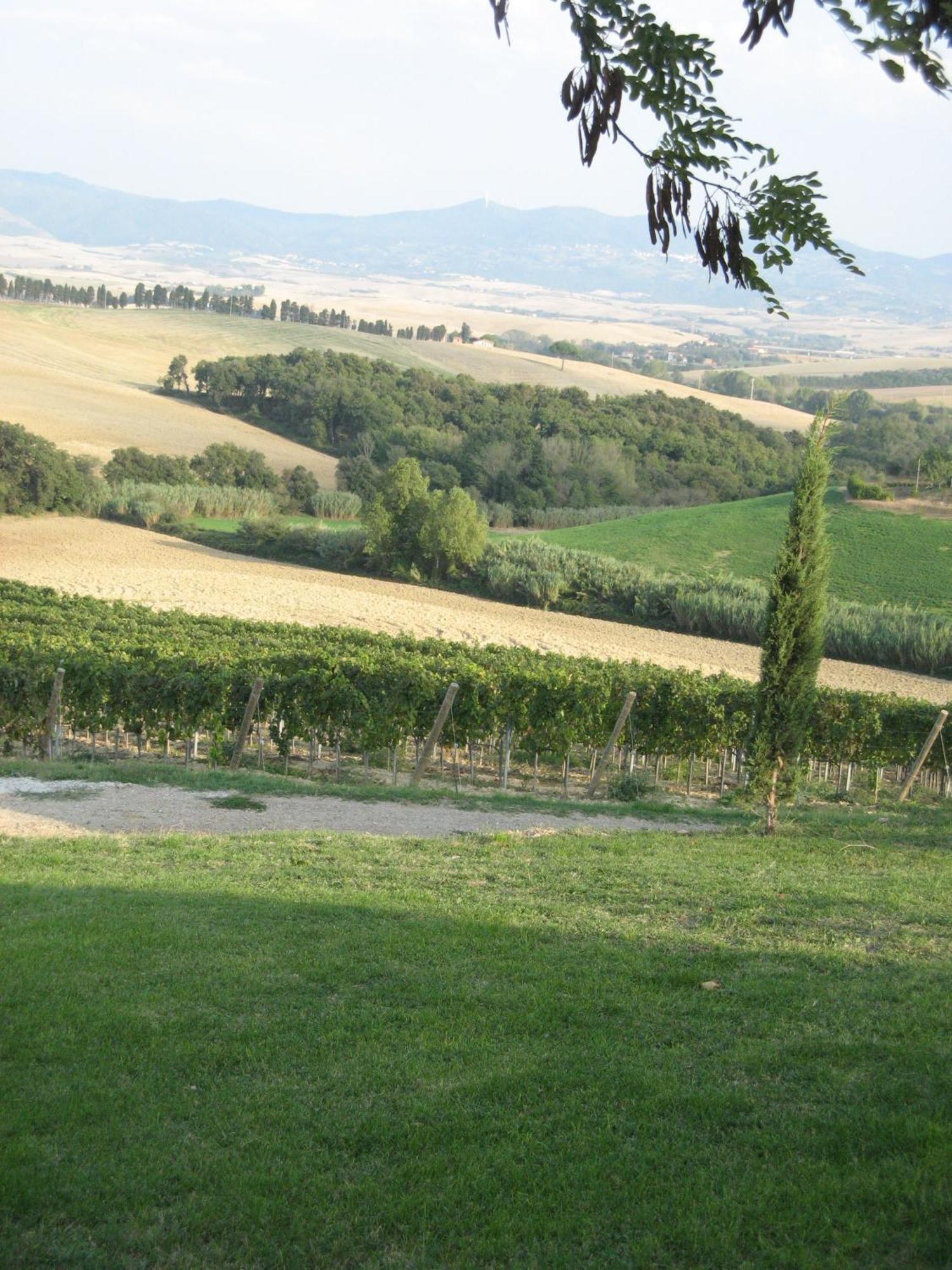 Agriturismo Cappellese Castelnuovo della Misericordia Ngoại thất bức ảnh
